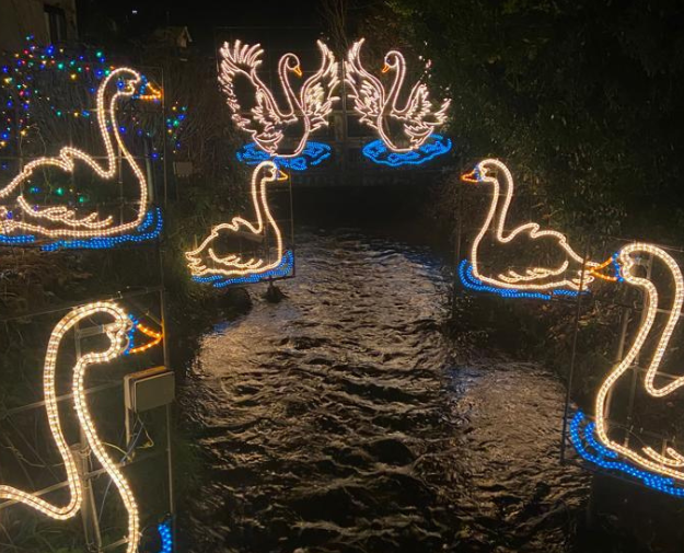 Swan shaped neon lights in a river from the Mousehole Harbour Lights event in Cornwall